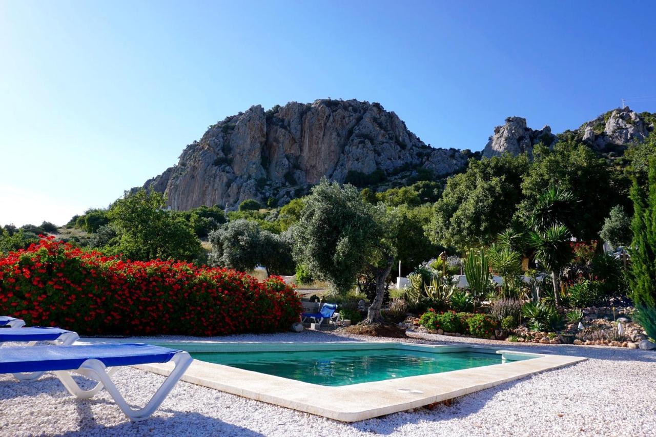 Olive Branch El Chorro Hotel Exterior photo