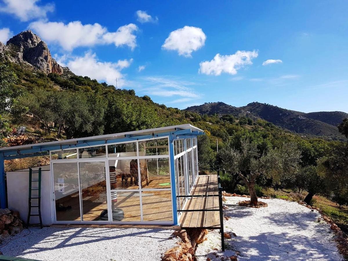 Olive Branch El Chorro Hotel Exterior photo